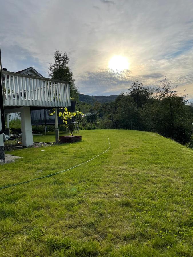 Fin Sentralt Hybel I Drammen Διαμέρισμα Εξωτερικό φωτογραφία