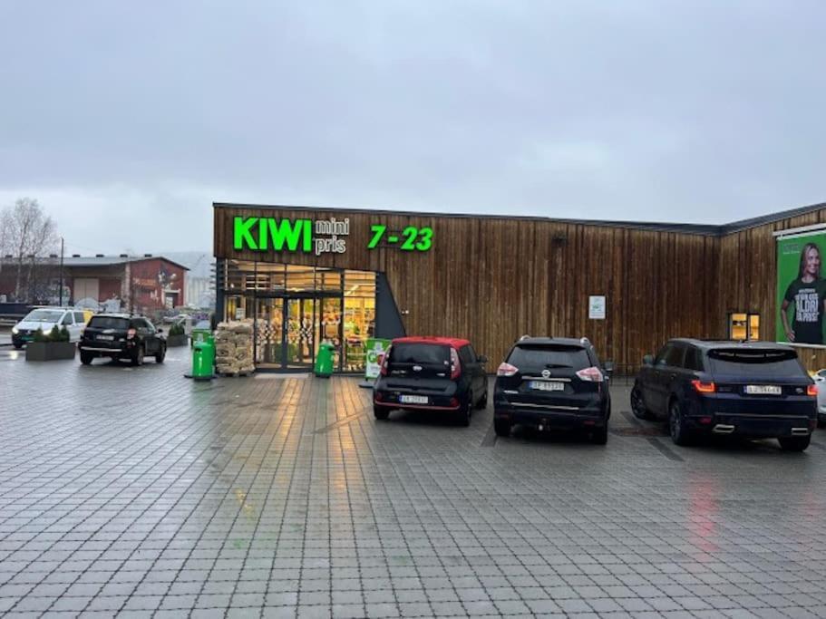 Fin Sentralt Hybel I Drammen Διαμέρισμα Εξωτερικό φωτογραφία