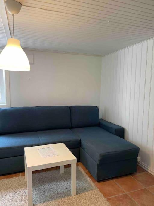 Fin Sentralt Hybel I Drammen Διαμέρισμα Εξωτερικό φωτογραφία