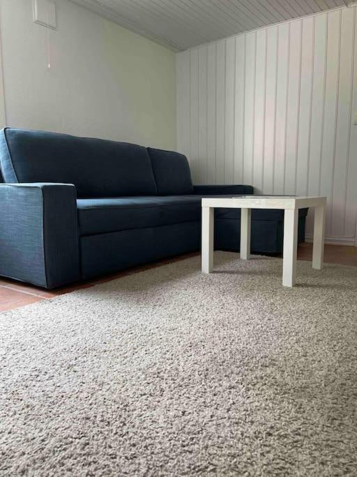 Fin Sentralt Hybel I Drammen Διαμέρισμα Εξωτερικό φωτογραφία